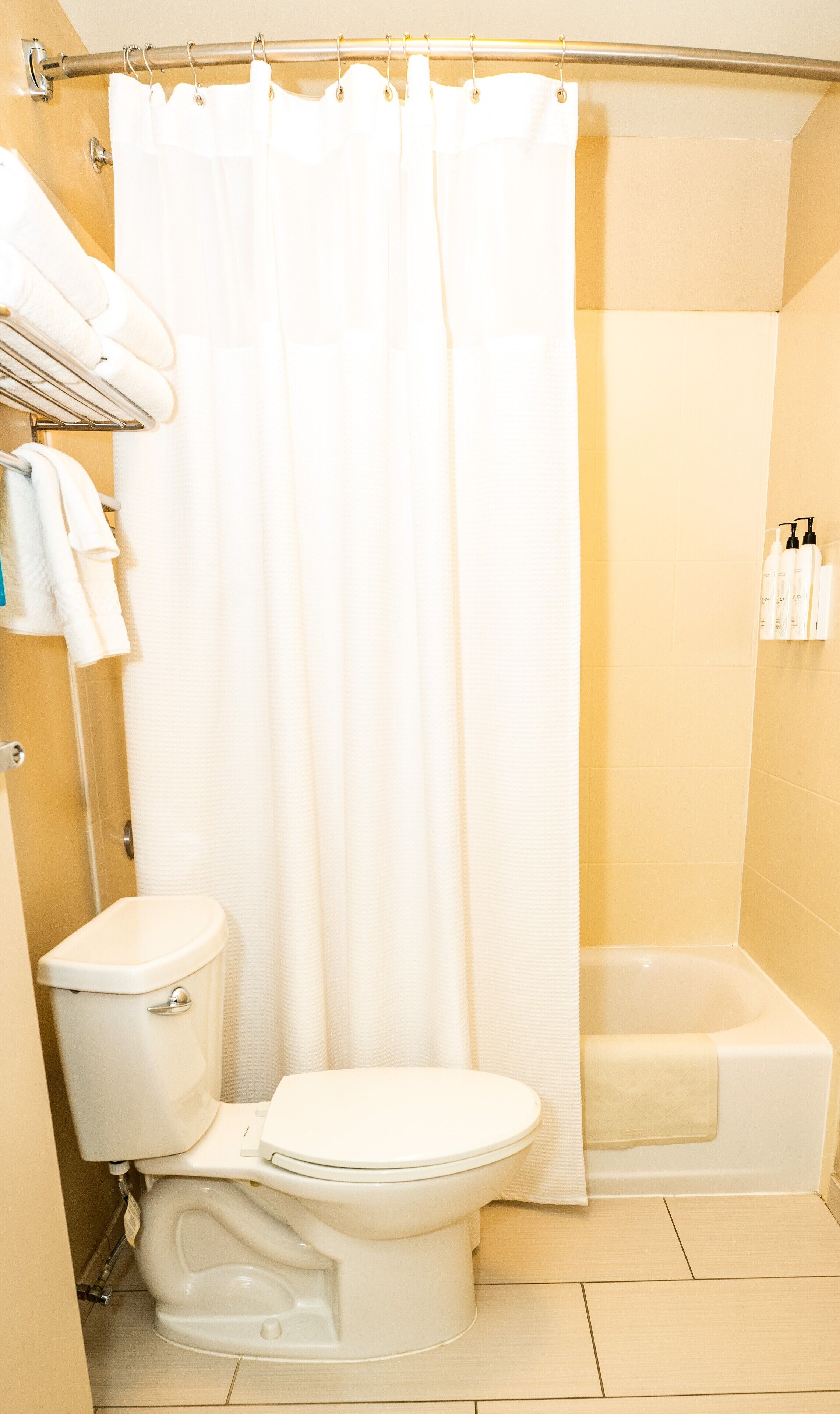 SpringHill Suites San Antonio Downtown/Alamo Plaza SpringHill Suites San Antonio Downtown/Alamo Plaza
