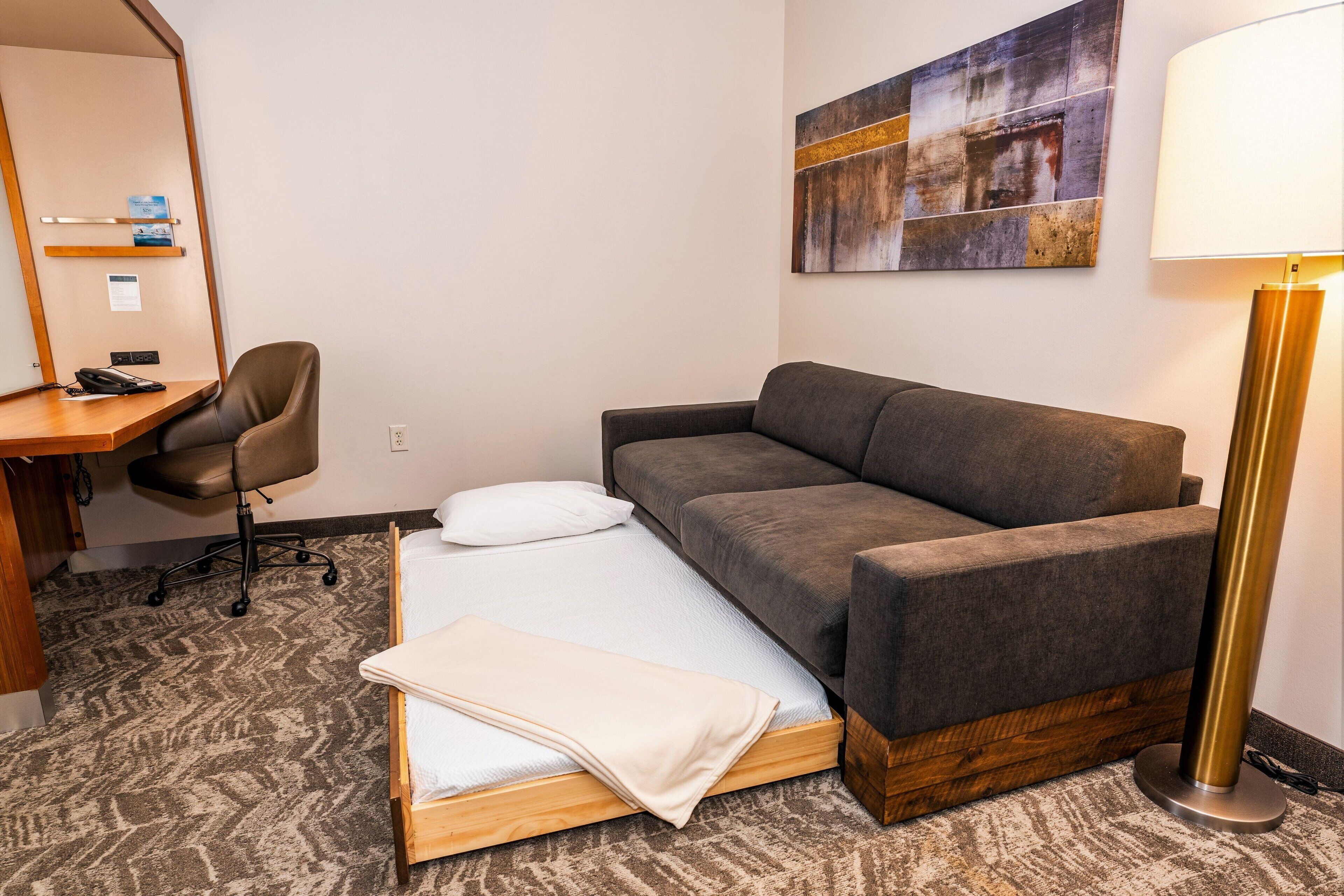 SpringHill Suites San Antonio Downtown/Alamo Plaza SpringHill Suites San Antonio Downtown/Alamo Plaza