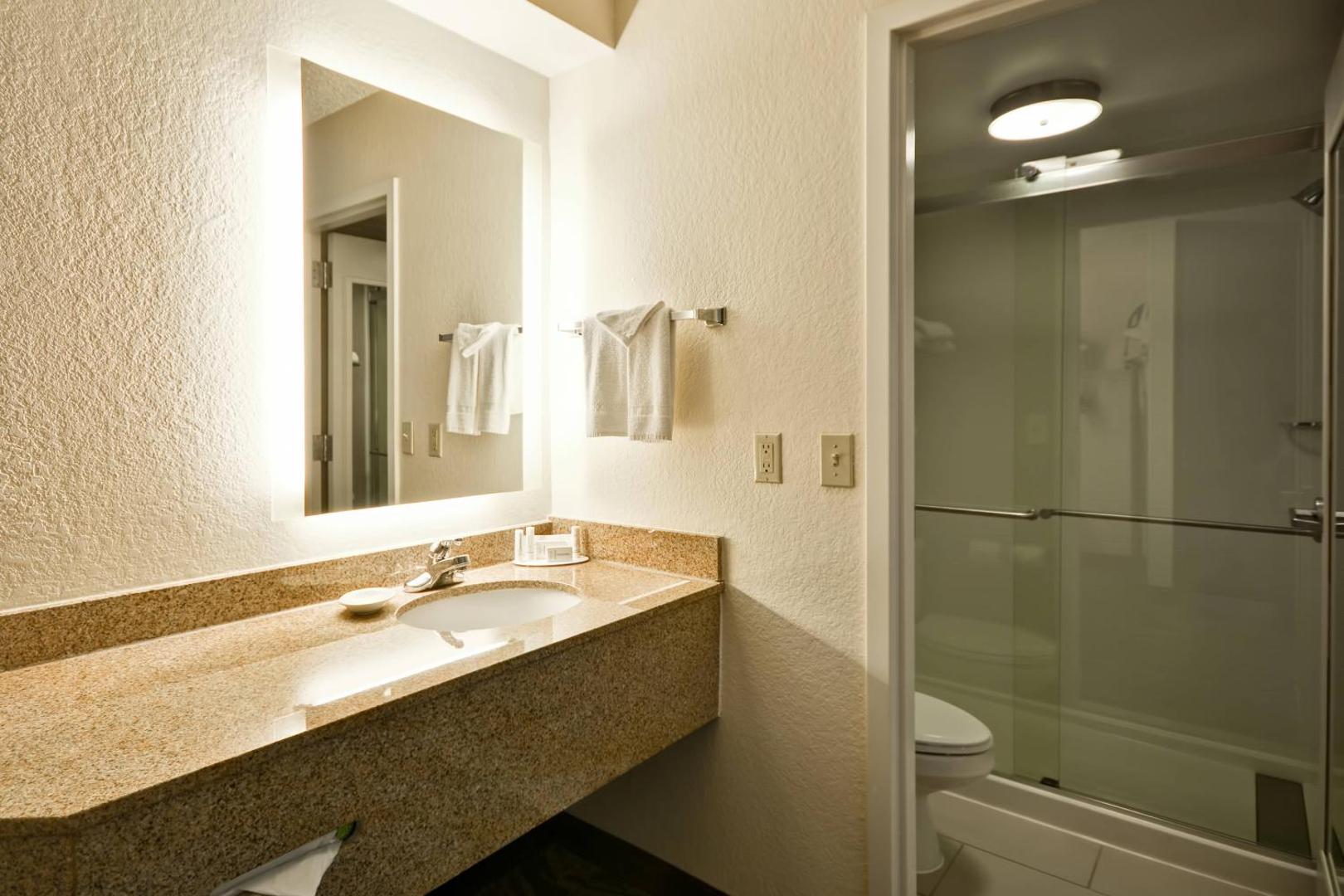 SpringHill Suites San Antonio Medical Center/Northwest SpringHill Suites San Antonio Medical Center/Northwest