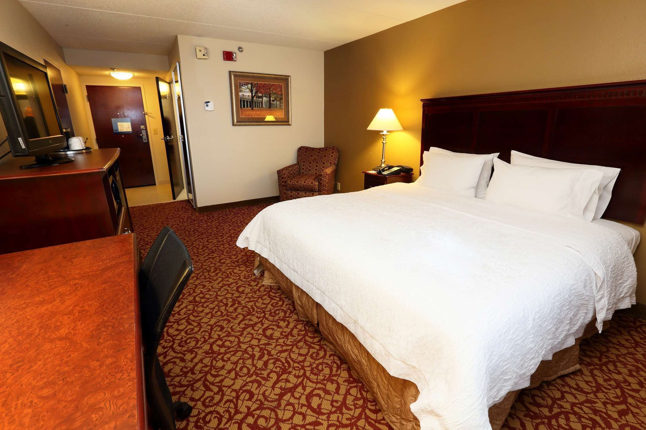Hampton Inn & Suites Charlottesville-At The University Hampton Inn & Suites Charlottesville-At The University