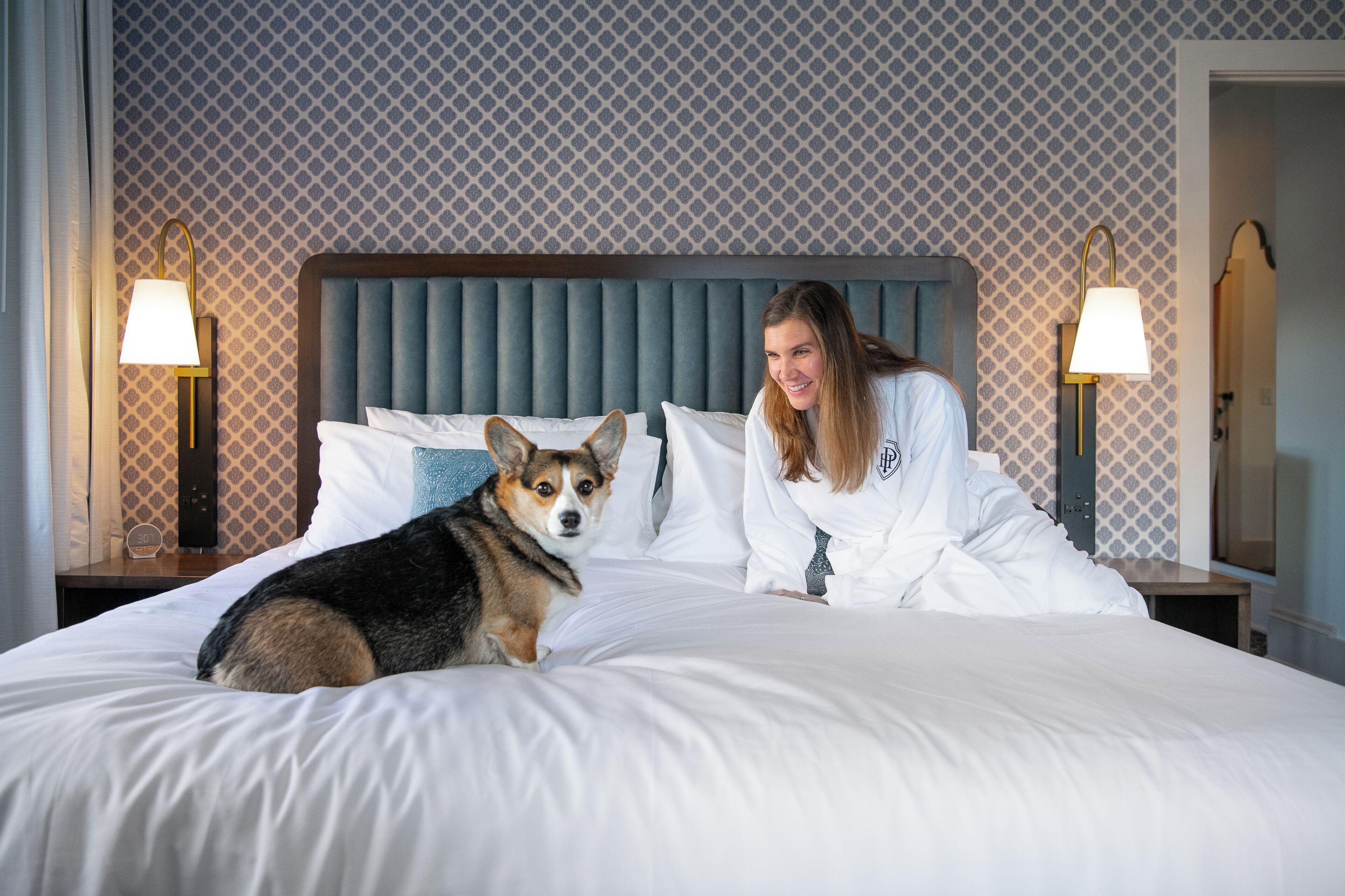 Hotel Petersburg, Tapestry Collection by Hilton Hotel Petersburg, Tapestry Collection by Hilton