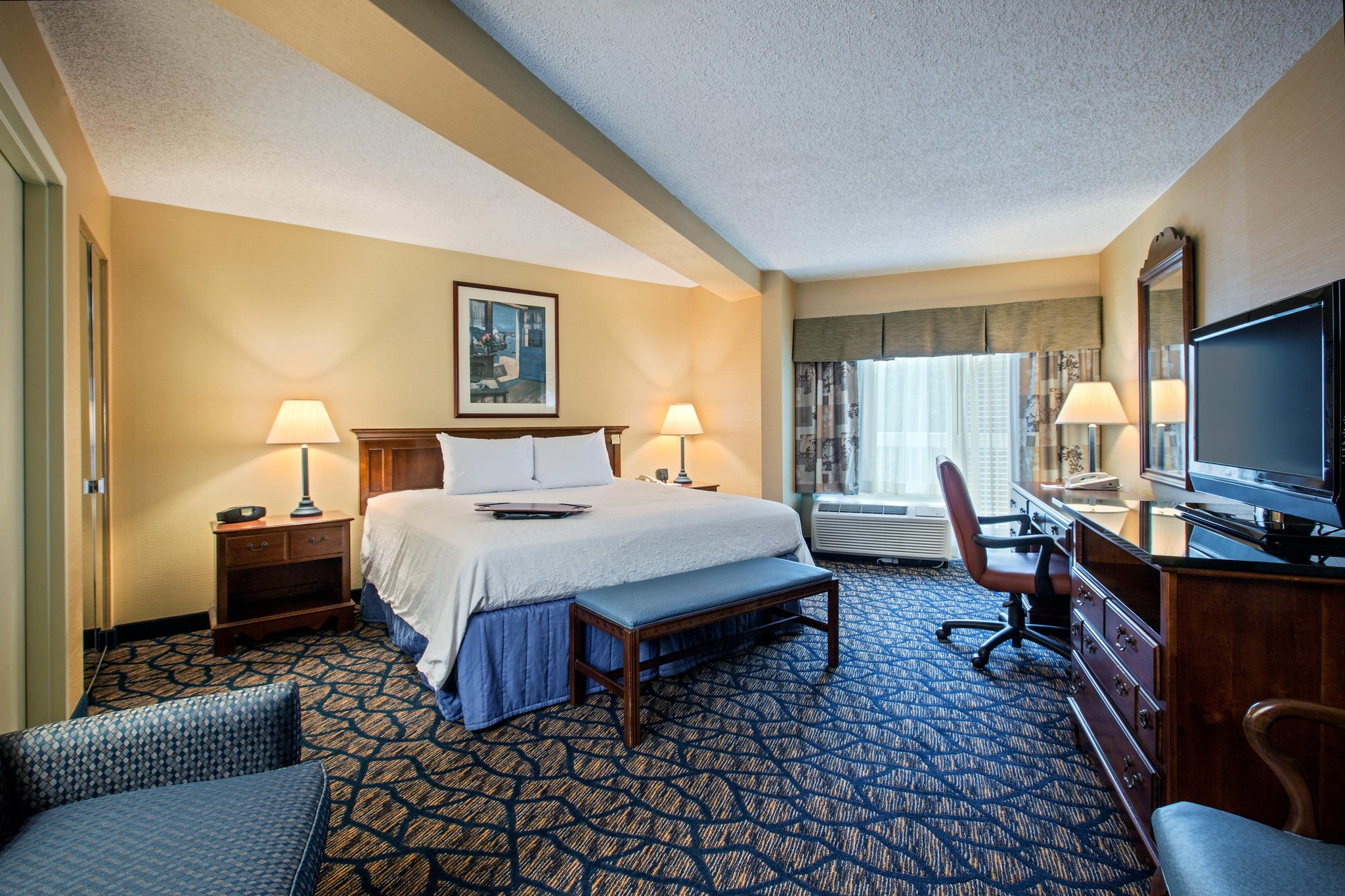Hampton Inn Salem East-Electric Road Hampton Inn Salem East-Electric Road