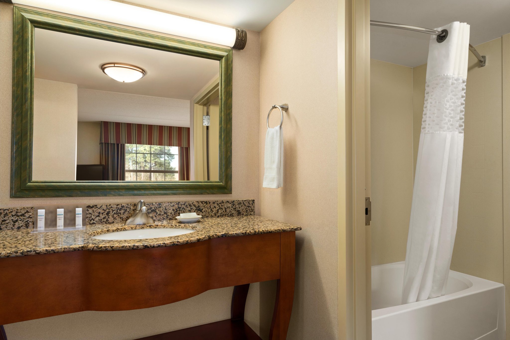 Hampton Inn & Suites Williamsburg-Central Hampton Inn & Suites Williamsburg-Central