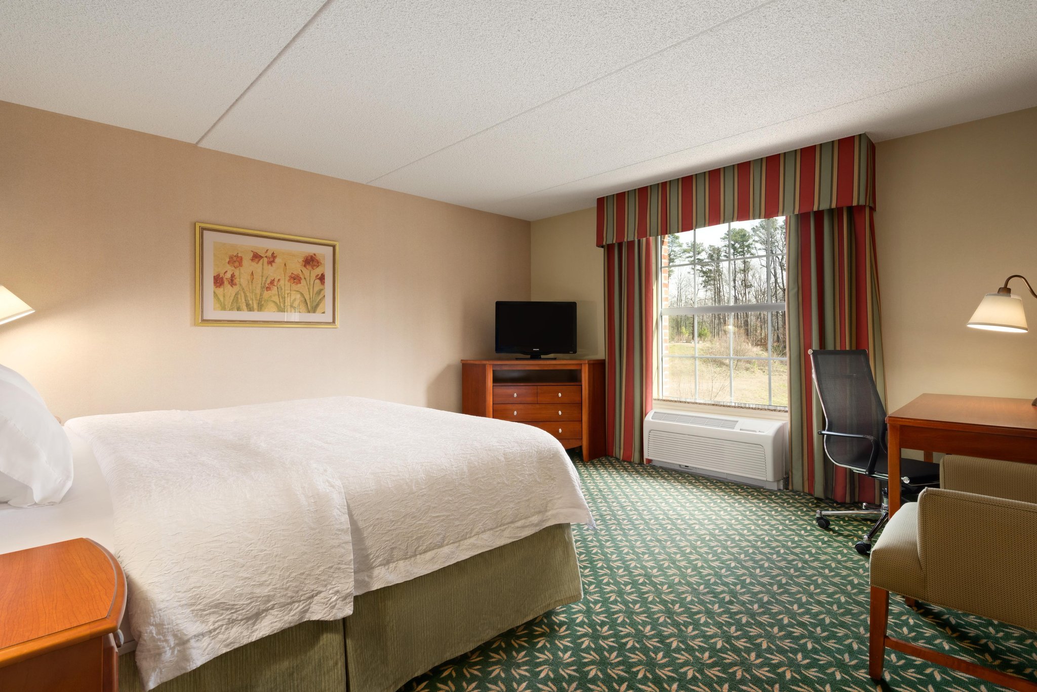 Hampton Inn & Suites Williamsburg-Central Hampton Inn & Suites Williamsburg-Central