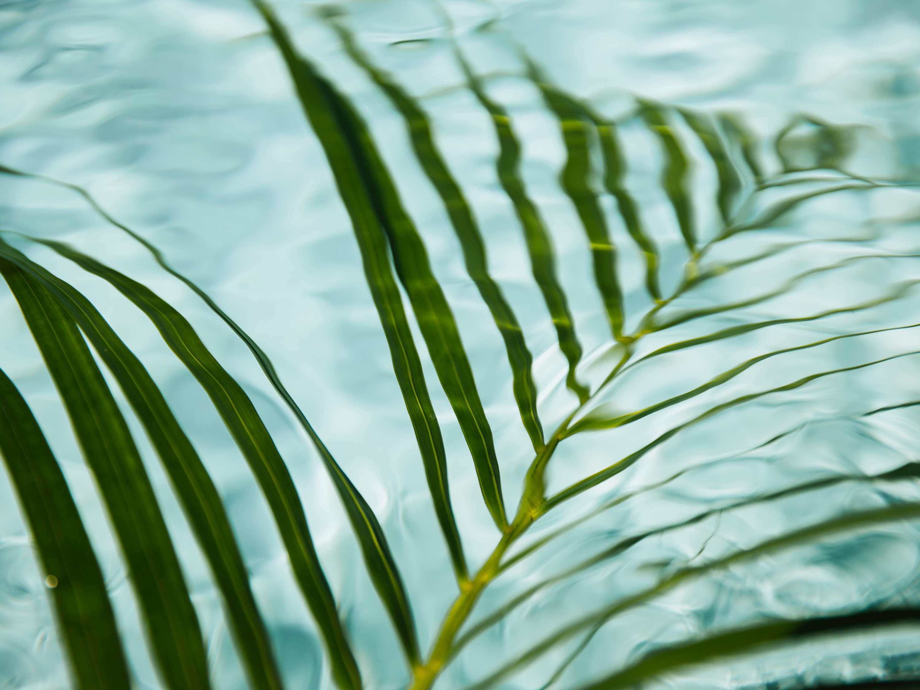 Fairmont Breakers Long Beach