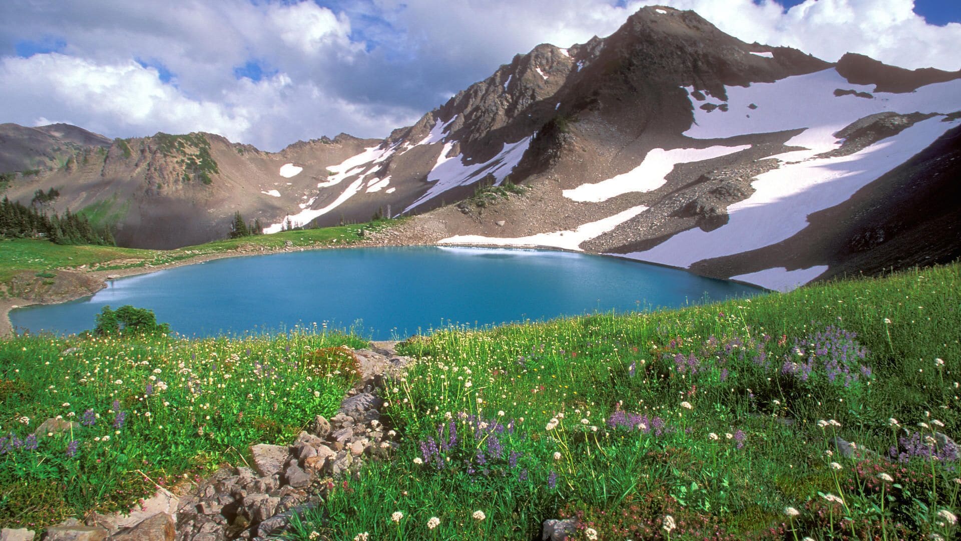 Olympic Inn & Suites