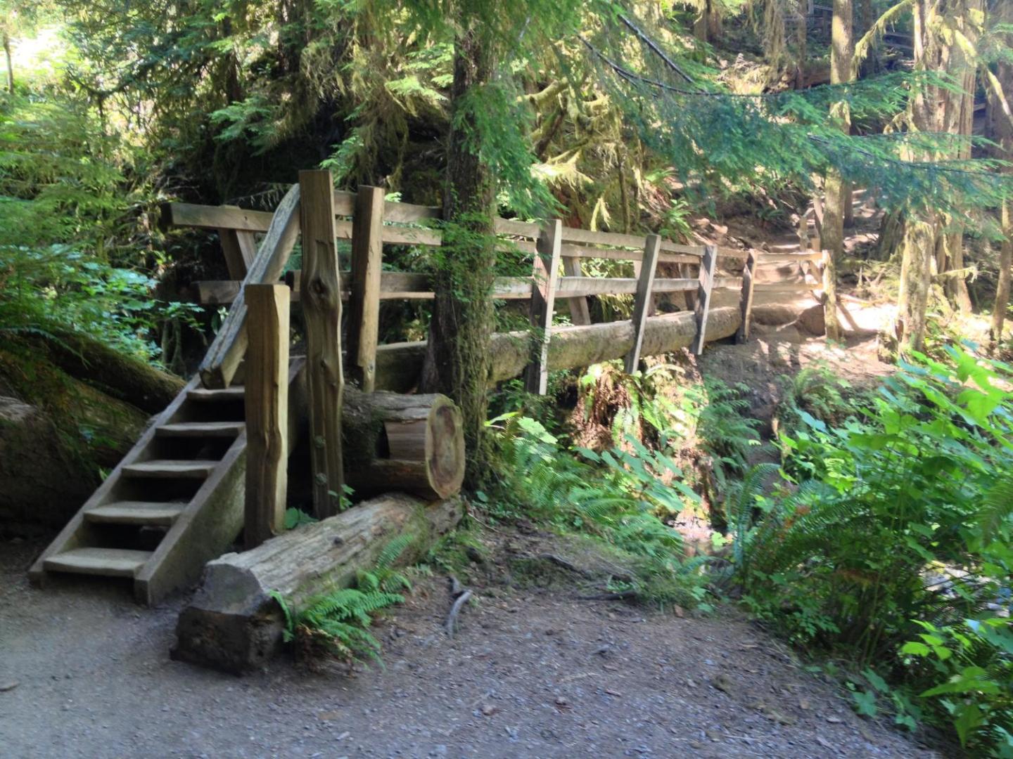 Super 8 by Wyndham Port Angeles at Olympic National Park Super 8 by Wyndham Port Angeles at Olympic National Park