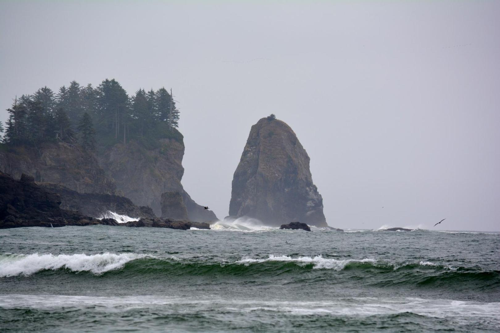 Super 8 by Wyndham Port Angeles at Olympic National Park Super 8 by Wyndham Port Angeles at Olympic National Park