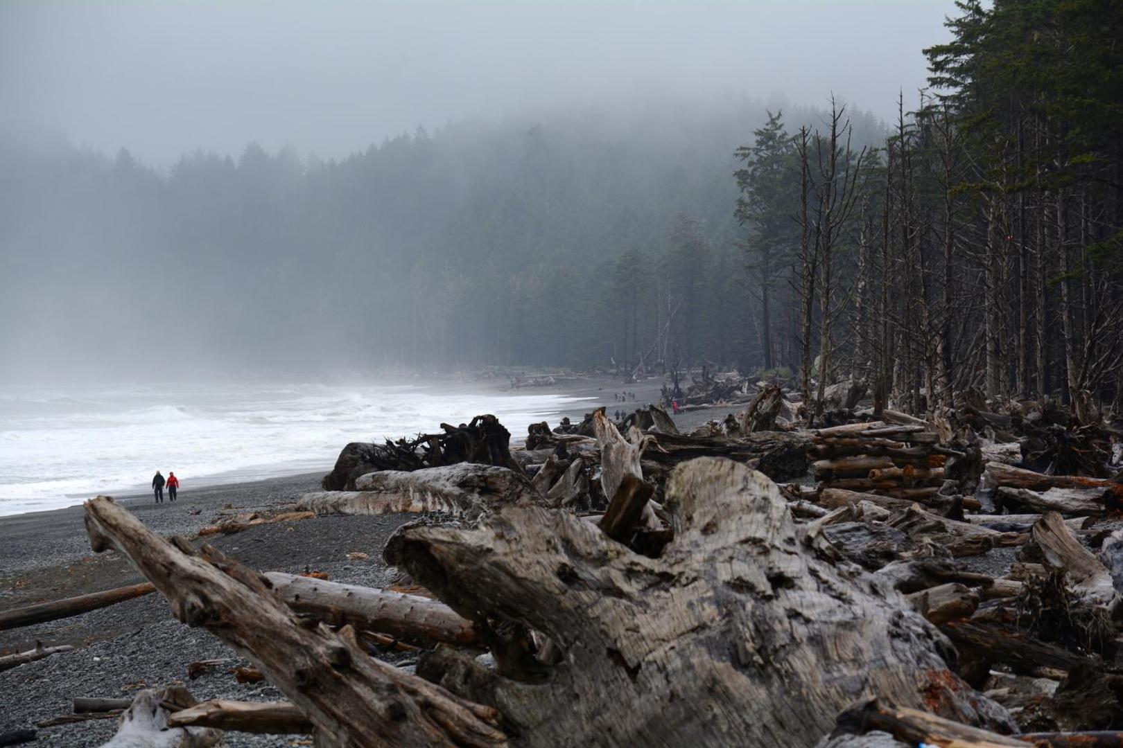 Super 8 by Wyndham Port Angeles at Olympic National Park Super 8 by Wyndham Port Angeles at Olympic National Park