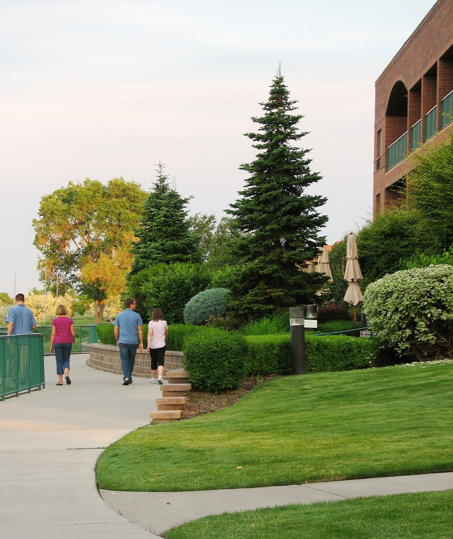 Hampton Inn Richland Tri Cities Hampton Inn Richland Tri Cities