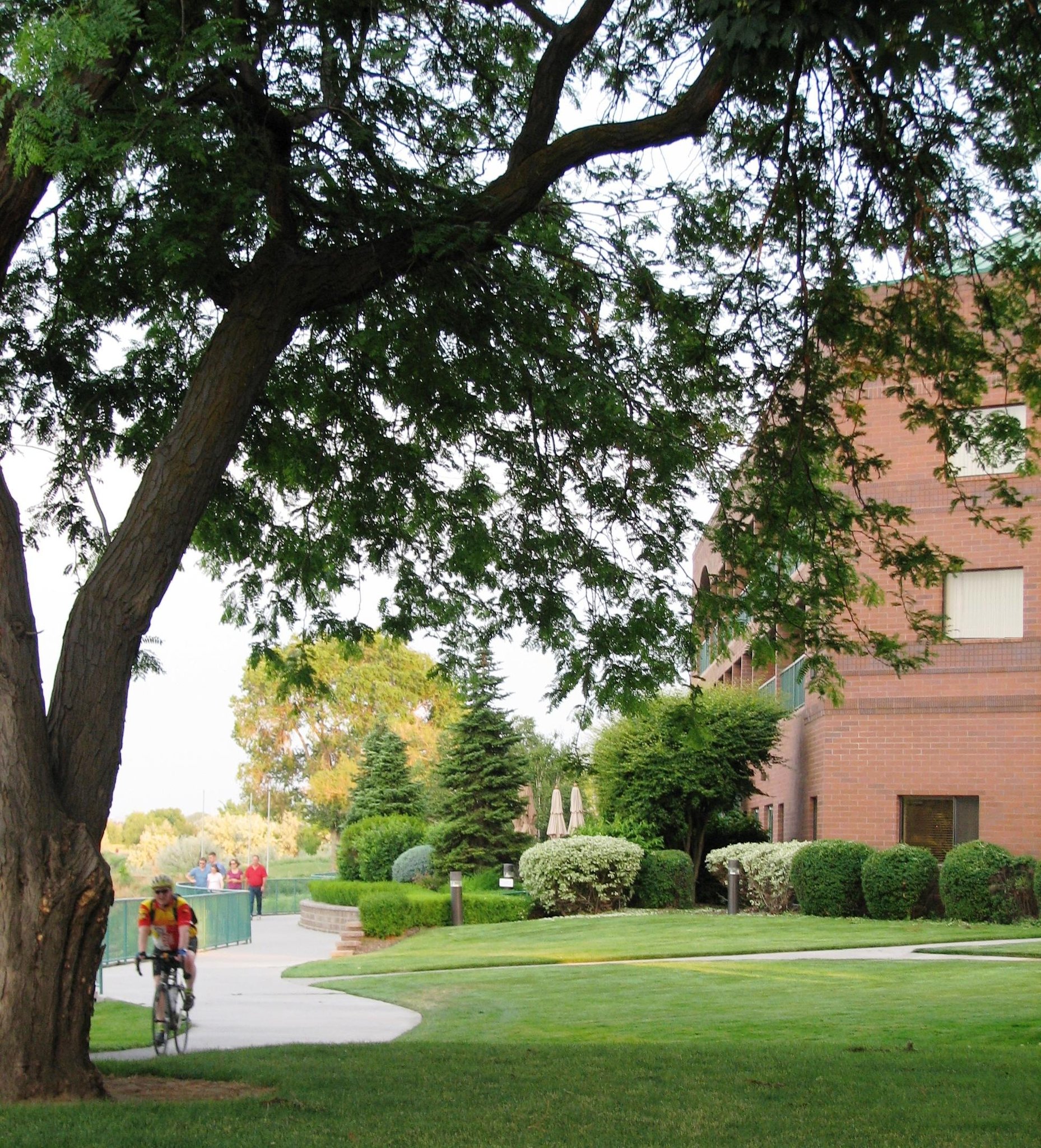 Hampton Inn Richland Tri Cities Hampton Inn Richland Tri Cities