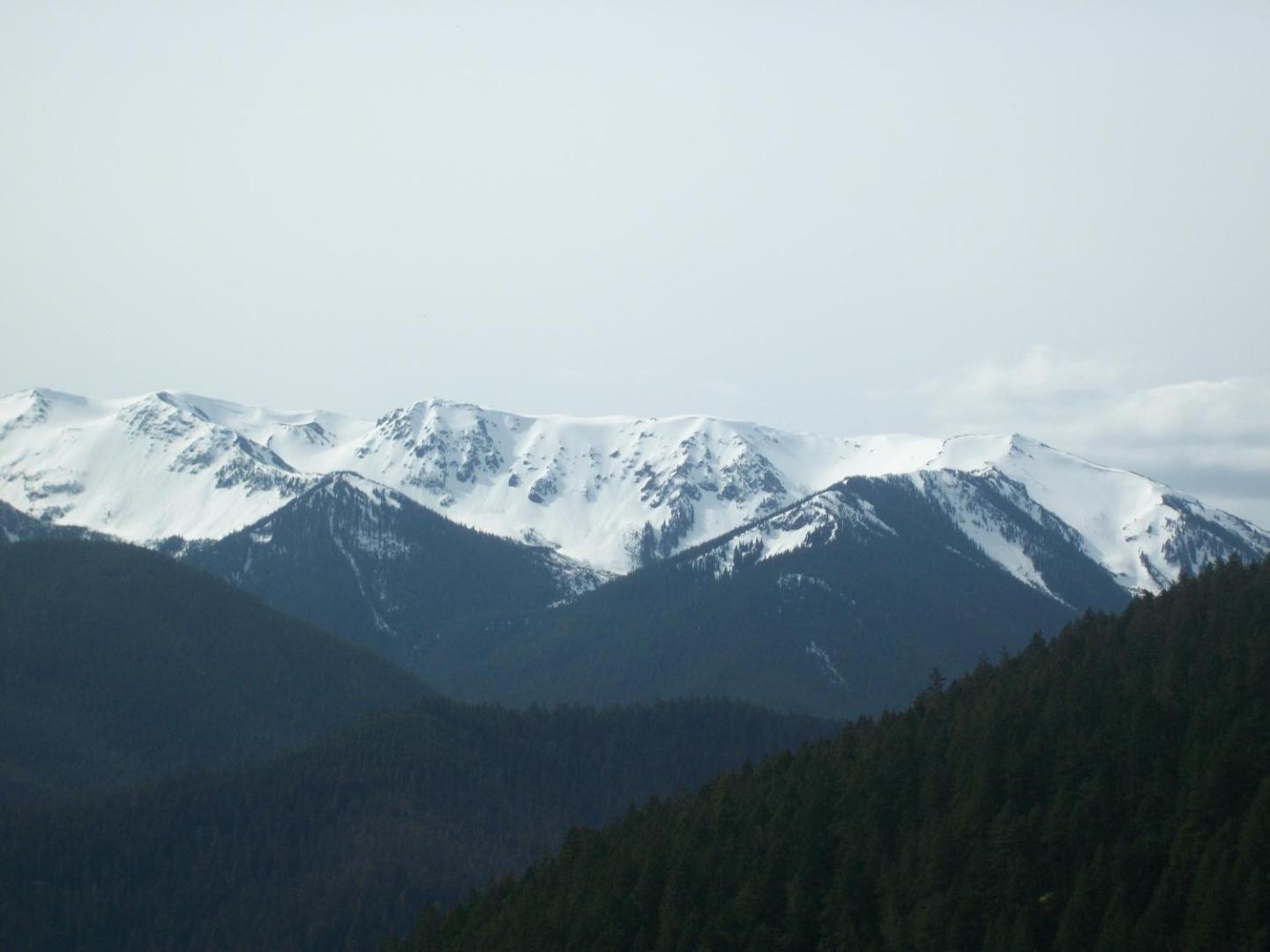 Holiday Inn Express Hotel & Suites North Sequim