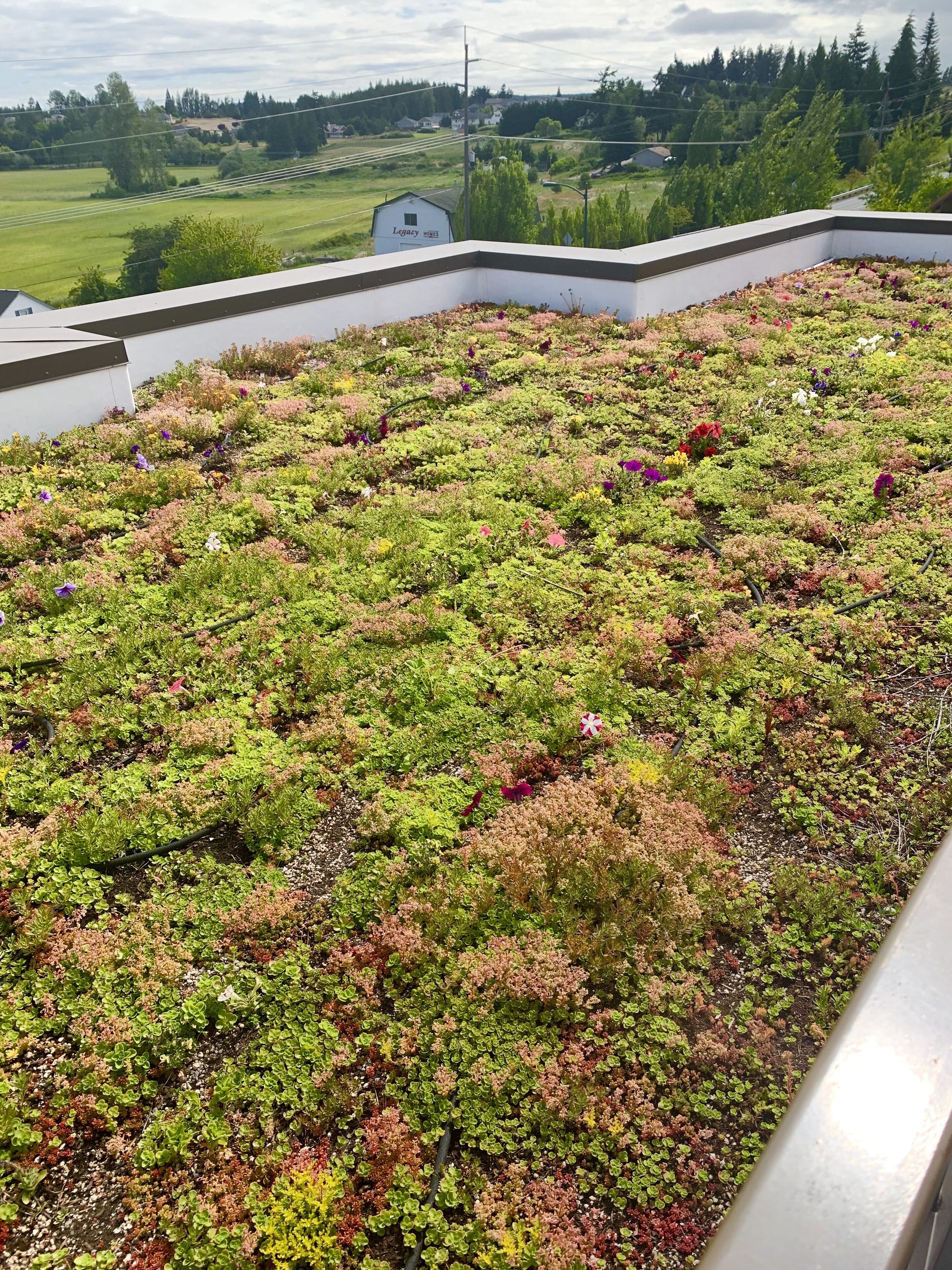 Holiday Inn Express Hotel & Suites North Sequim