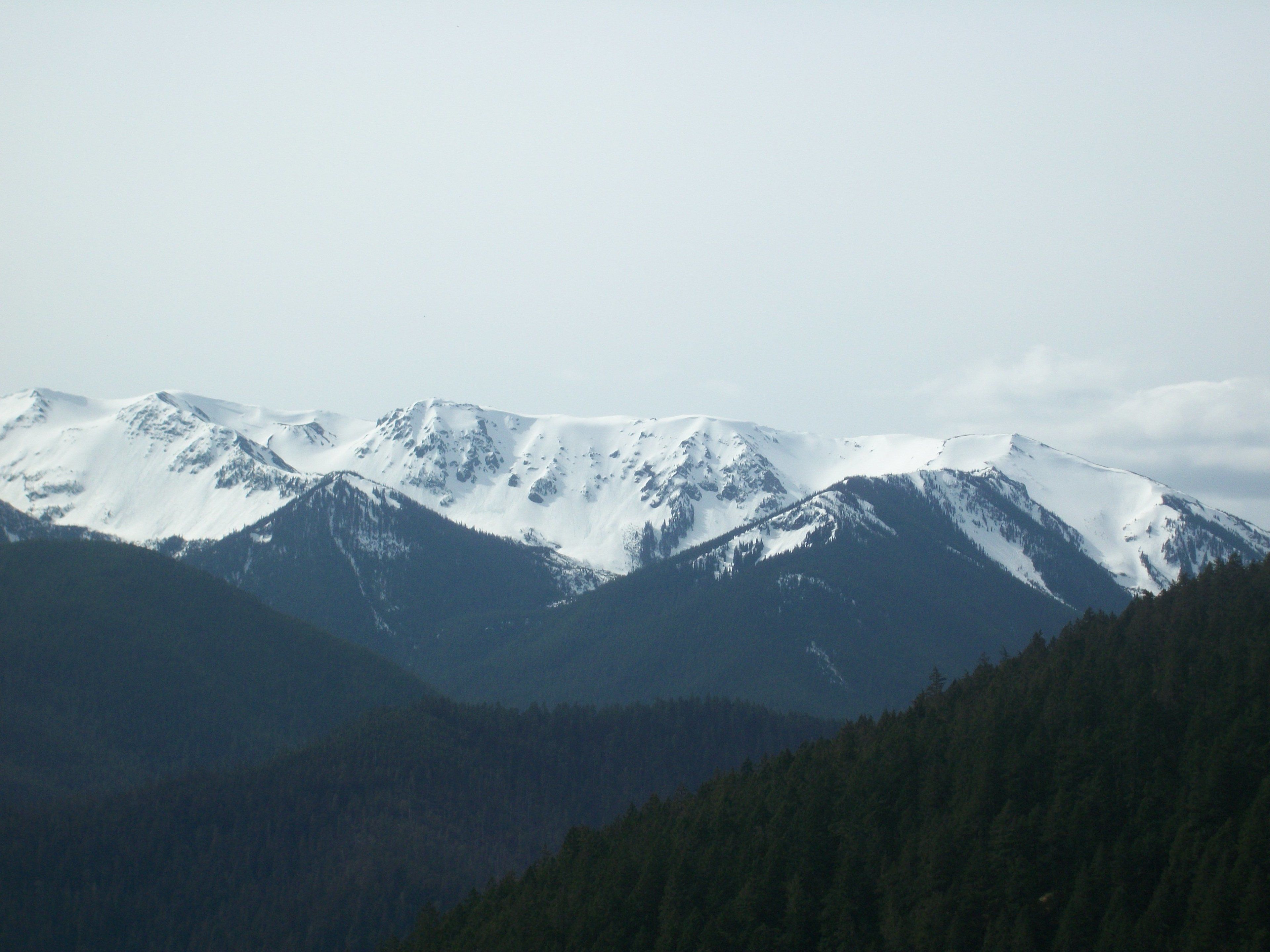 Holiday Inn Express Hotel & Suites North Sequim