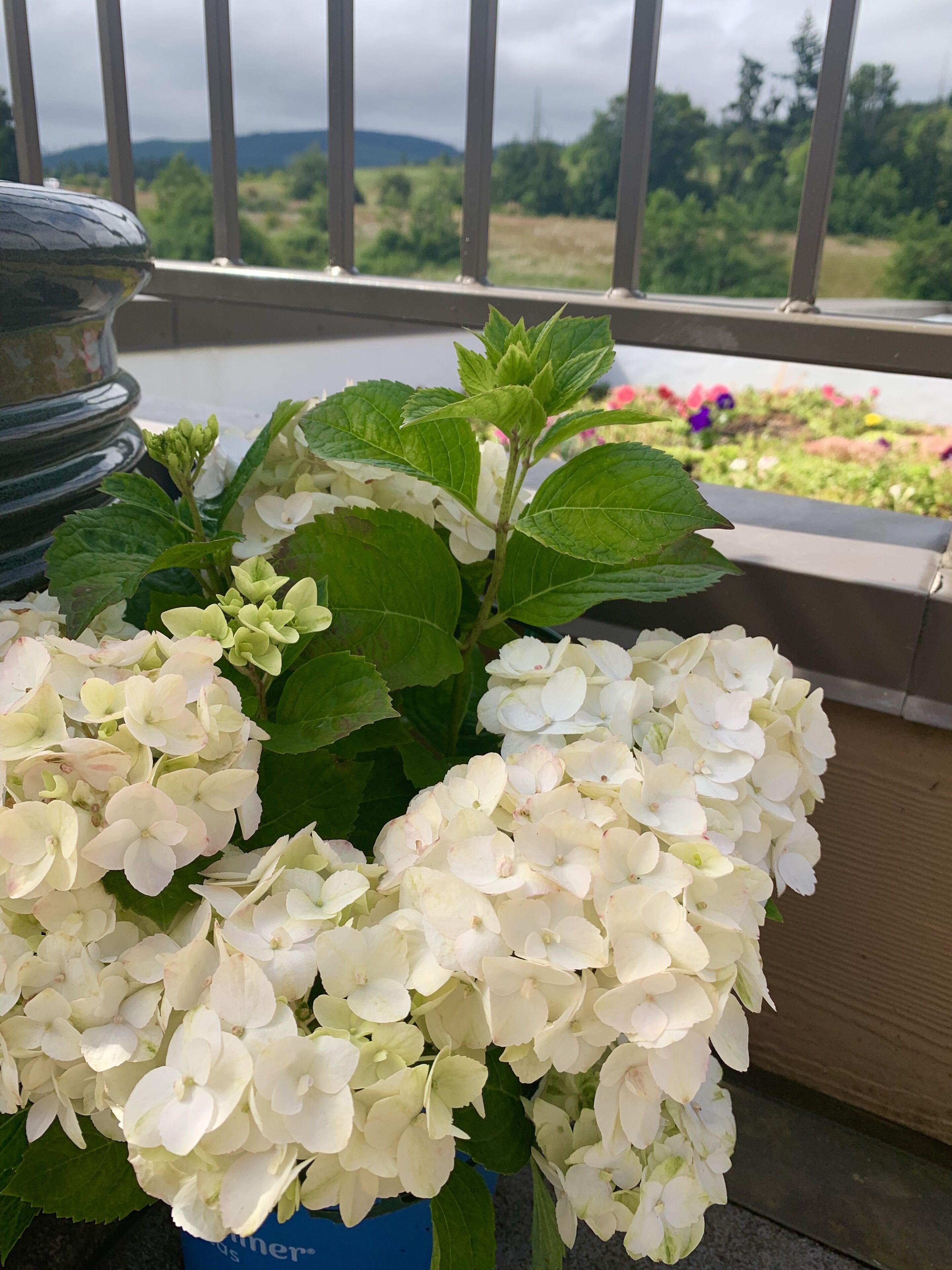 Holiday Inn Express Hotel & Suites North Sequim