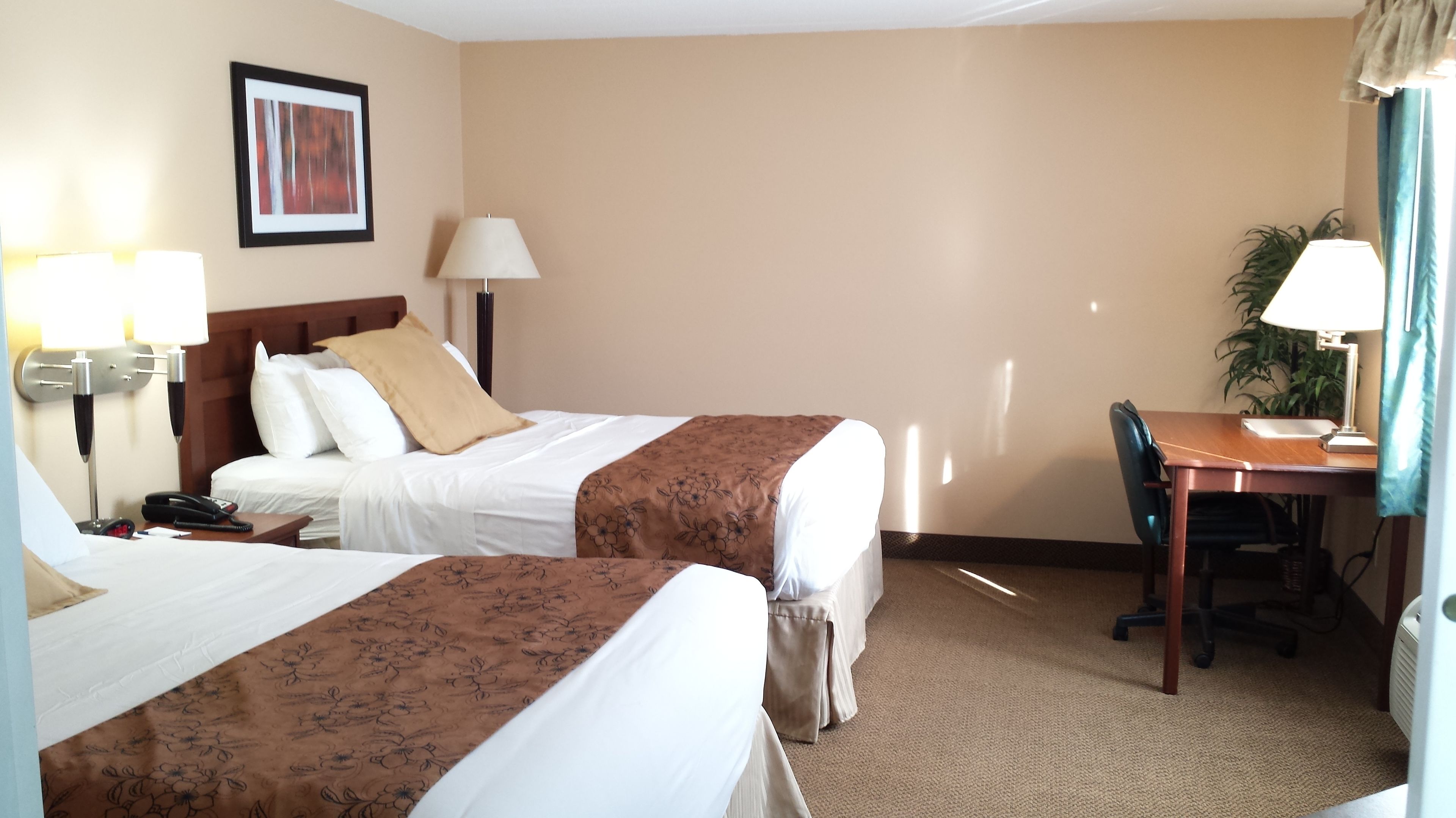 Quality Inn & Suites Black River Falls I-94