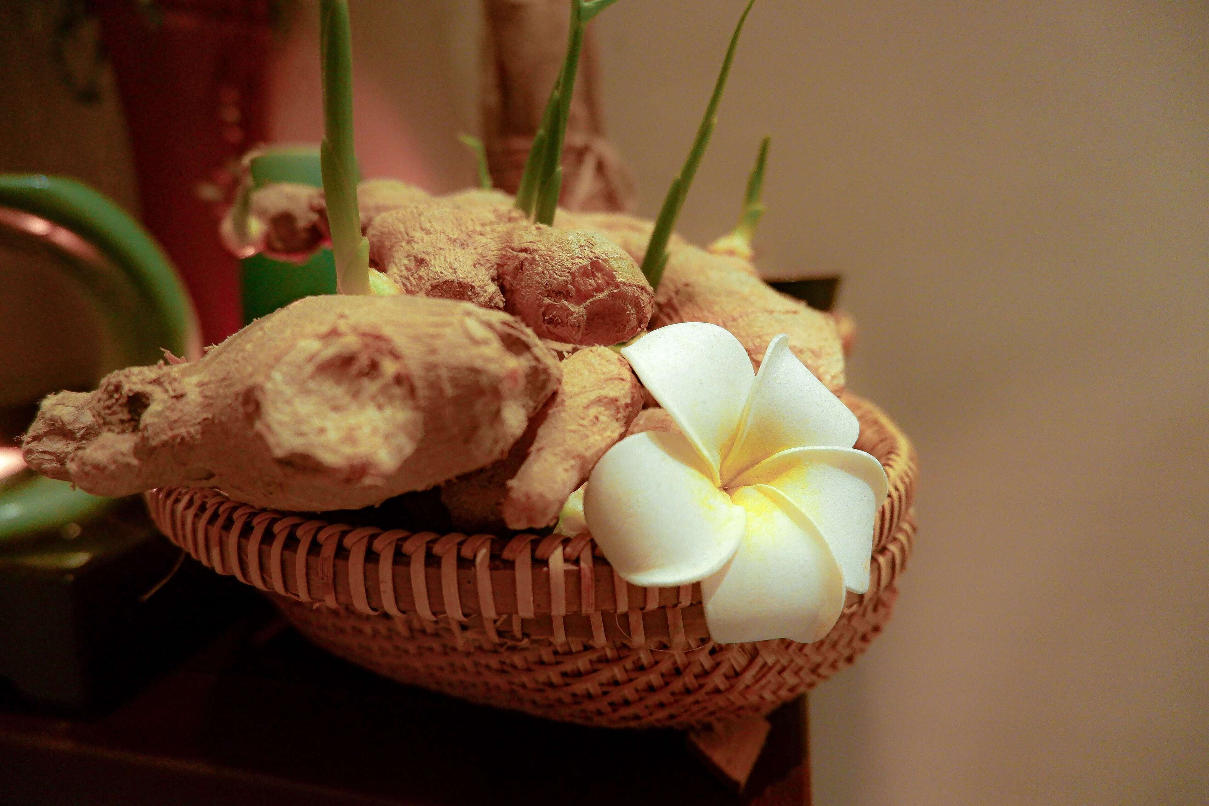 Allegro Hoi An Little Luxury Hotel & Spa Allegro Hoi An Little Luxury Hotel & Spa