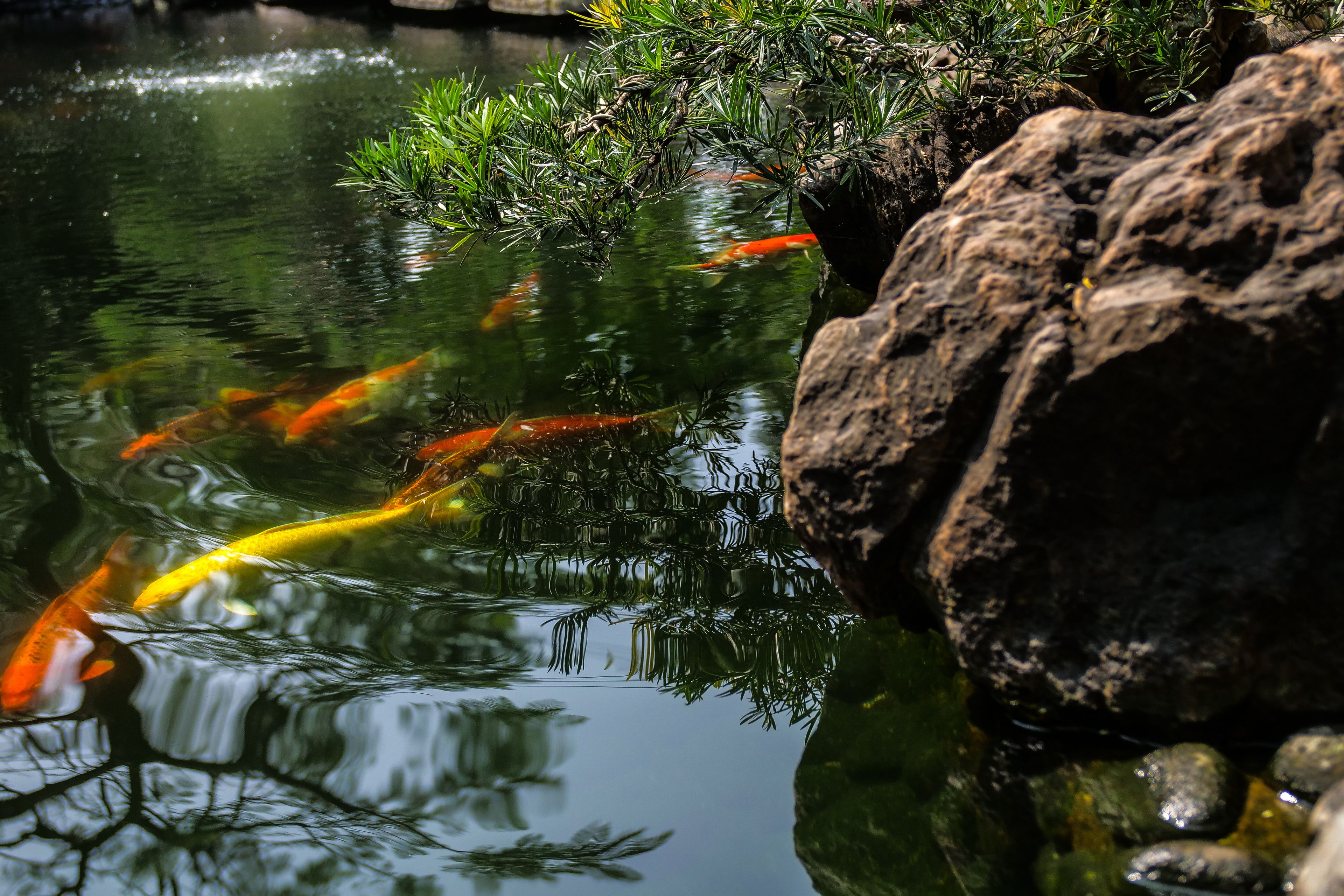 Almanity Hoi An Resort & Spa Almanity Hoi An Resort & Spa