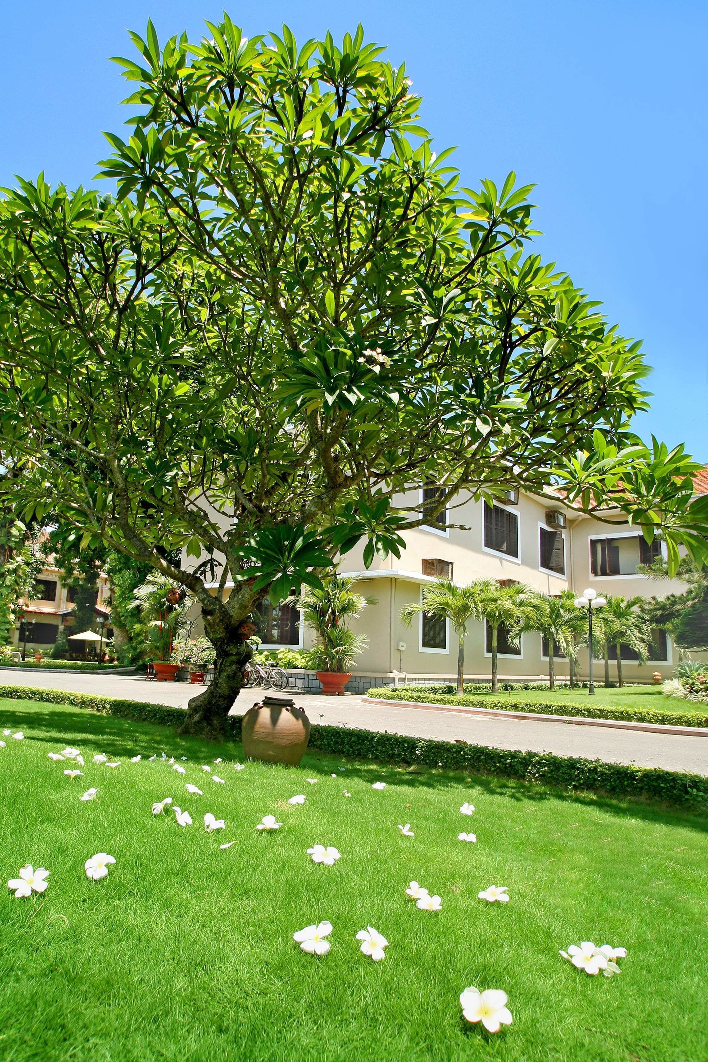 Hoi An Historic Hotel Hoi An Historic Hotel