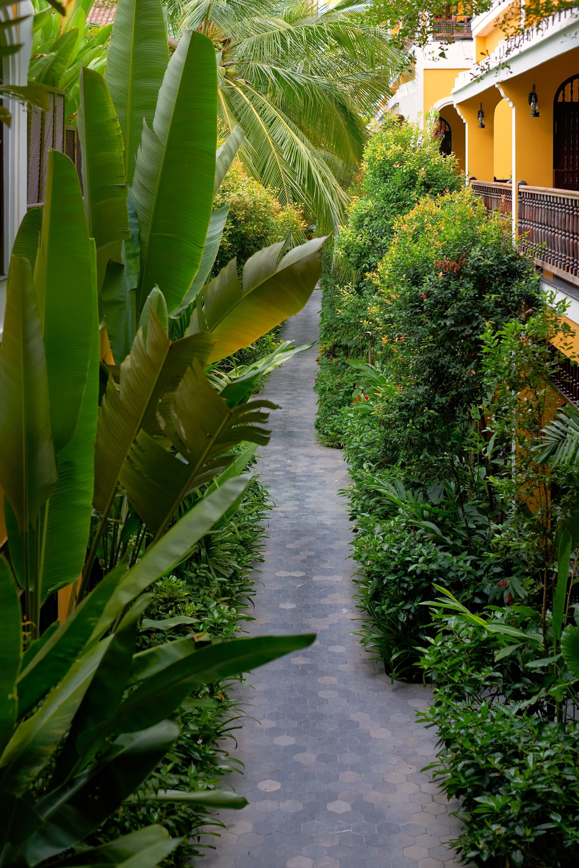 La Siesta Hoi An La Siesta Hoi An