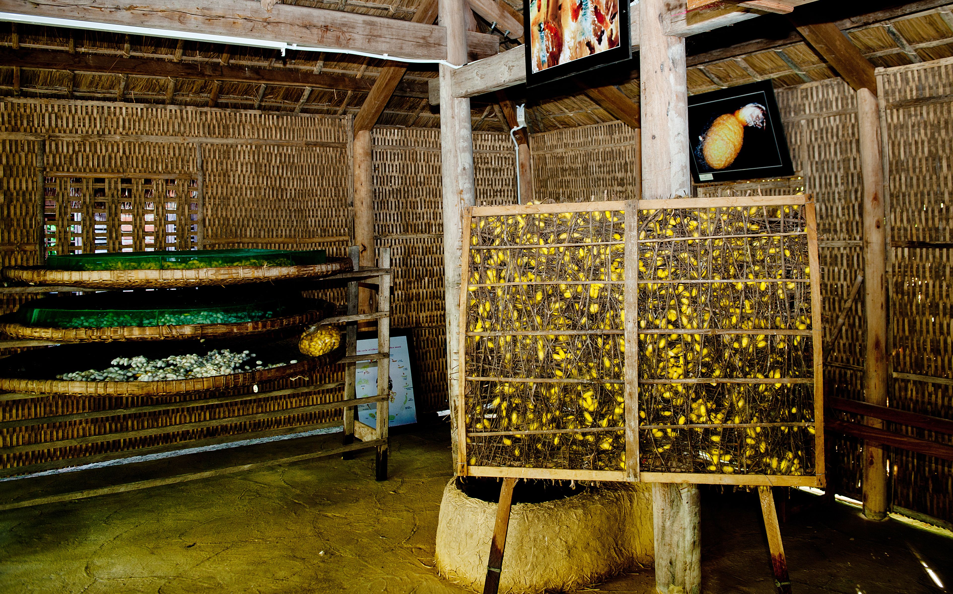 Mulberry Collection Silk Village Mulberry Collection Silk Village