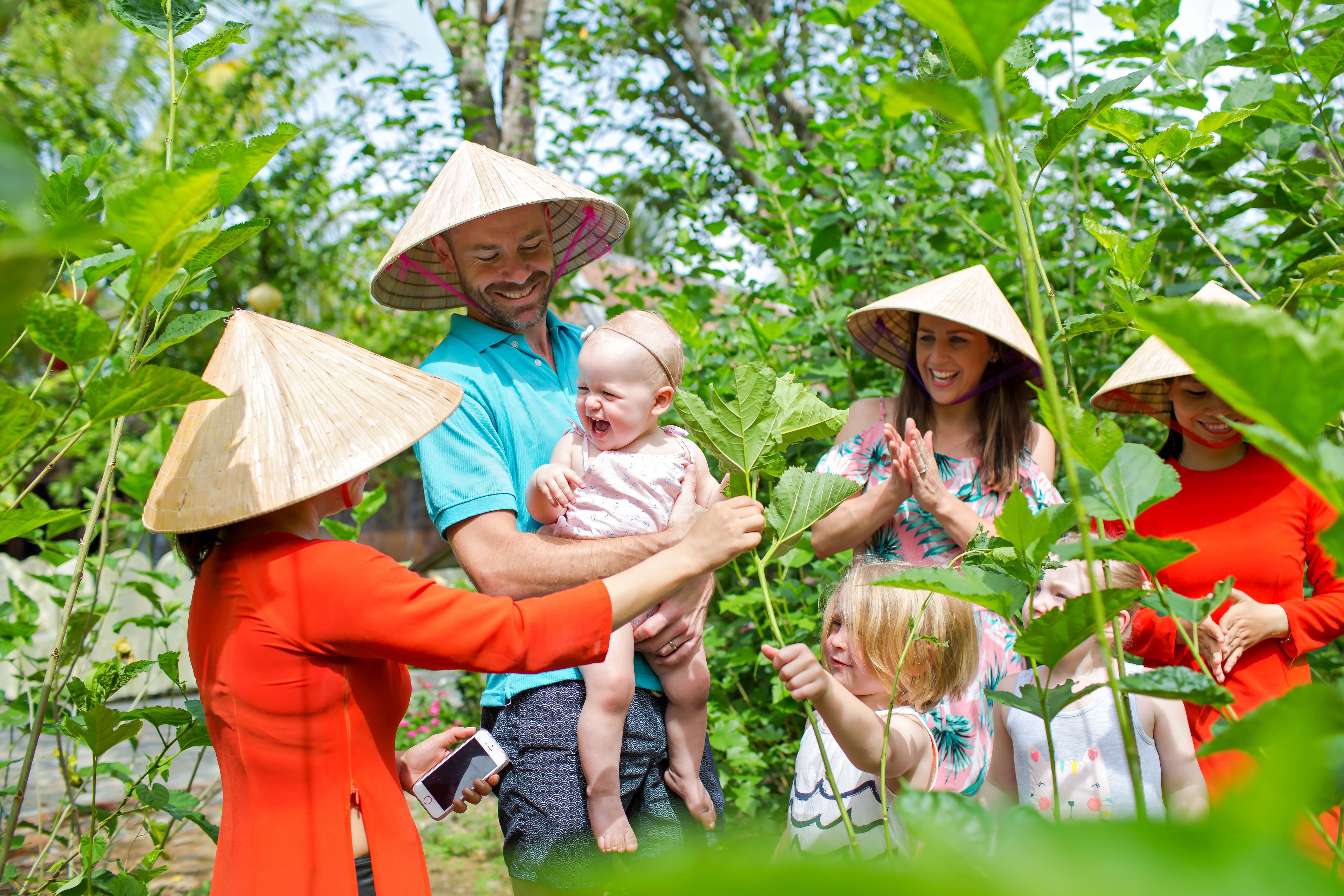 Mulberry Collection Silk Village Mulberry Collection Silk Village