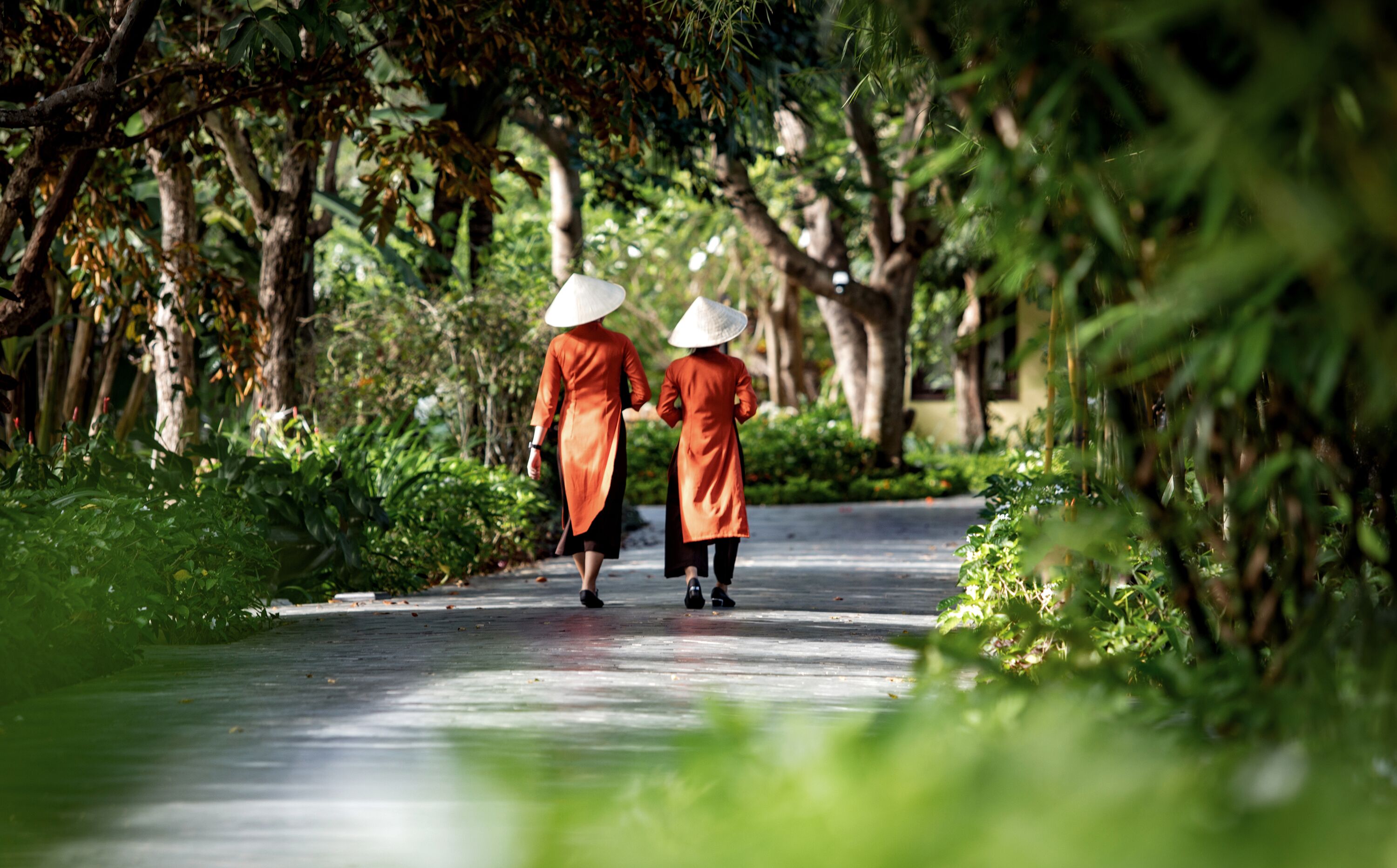 Mulberry Collection Silk Village Mulberry Collection Silk Village