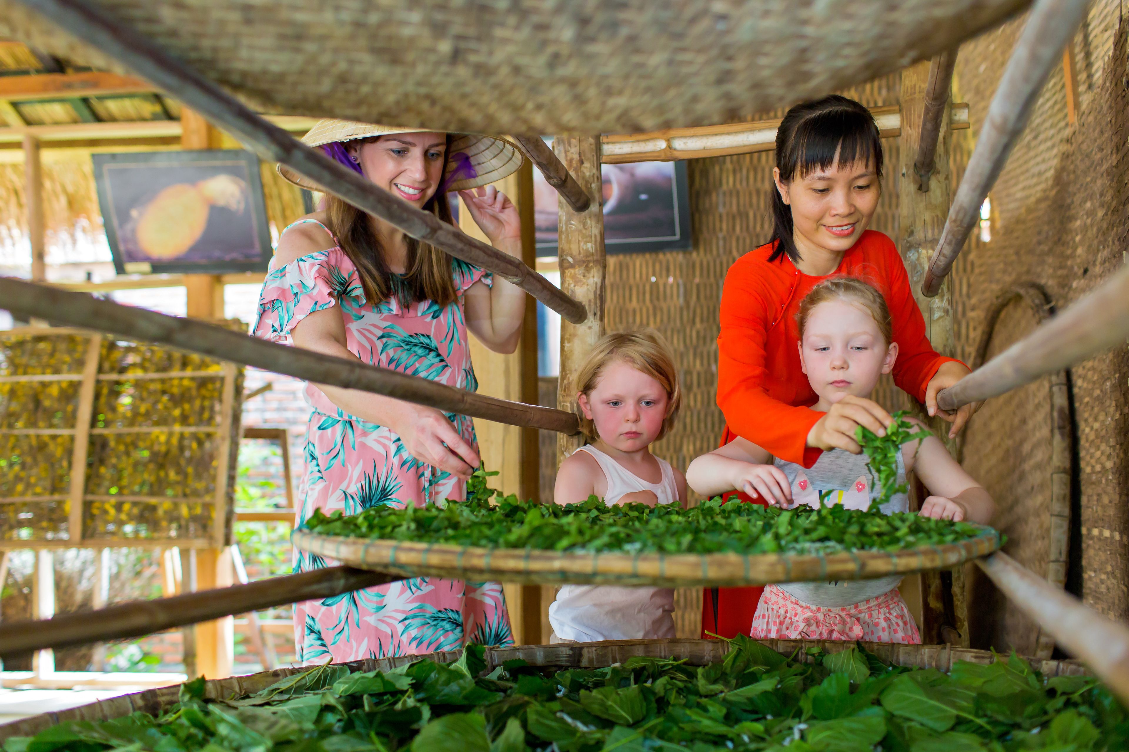 Mulberry Collection Silk Village Mulberry Collection Silk Village