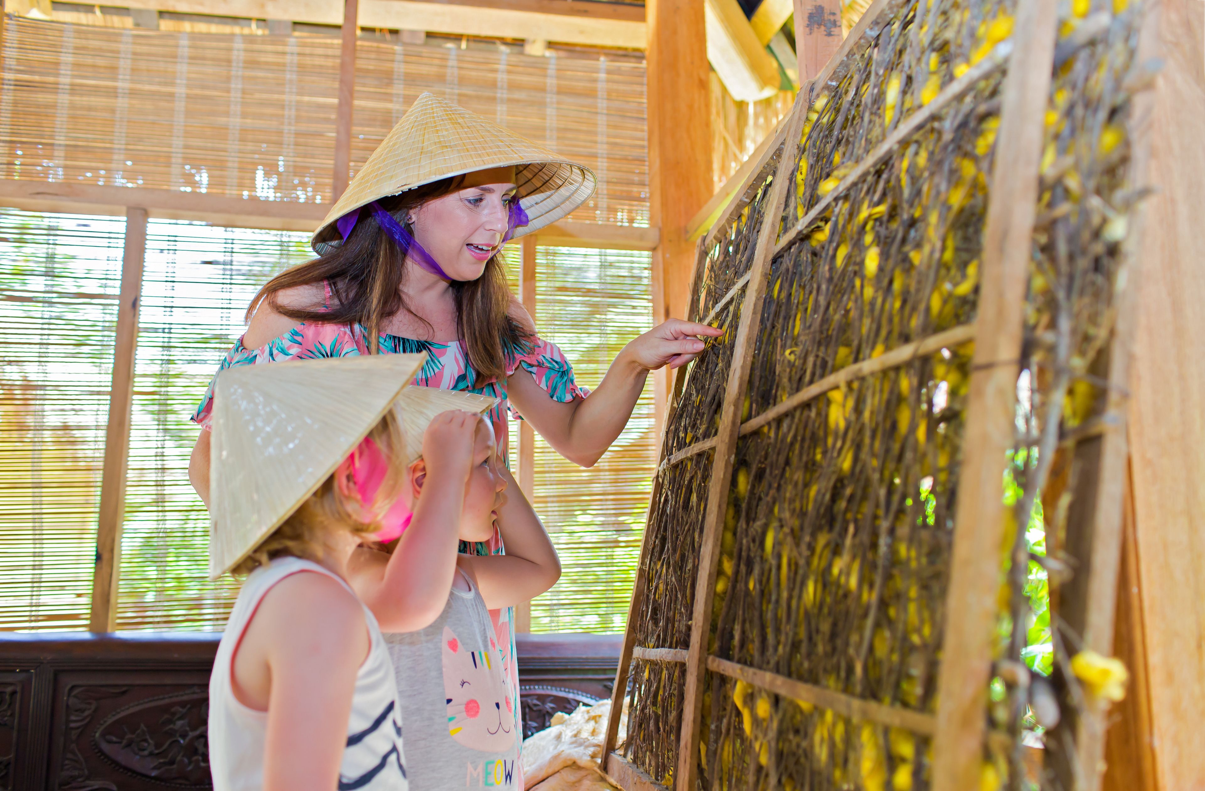 Mulberry Collection Silk Village Mulberry Collection Silk Village