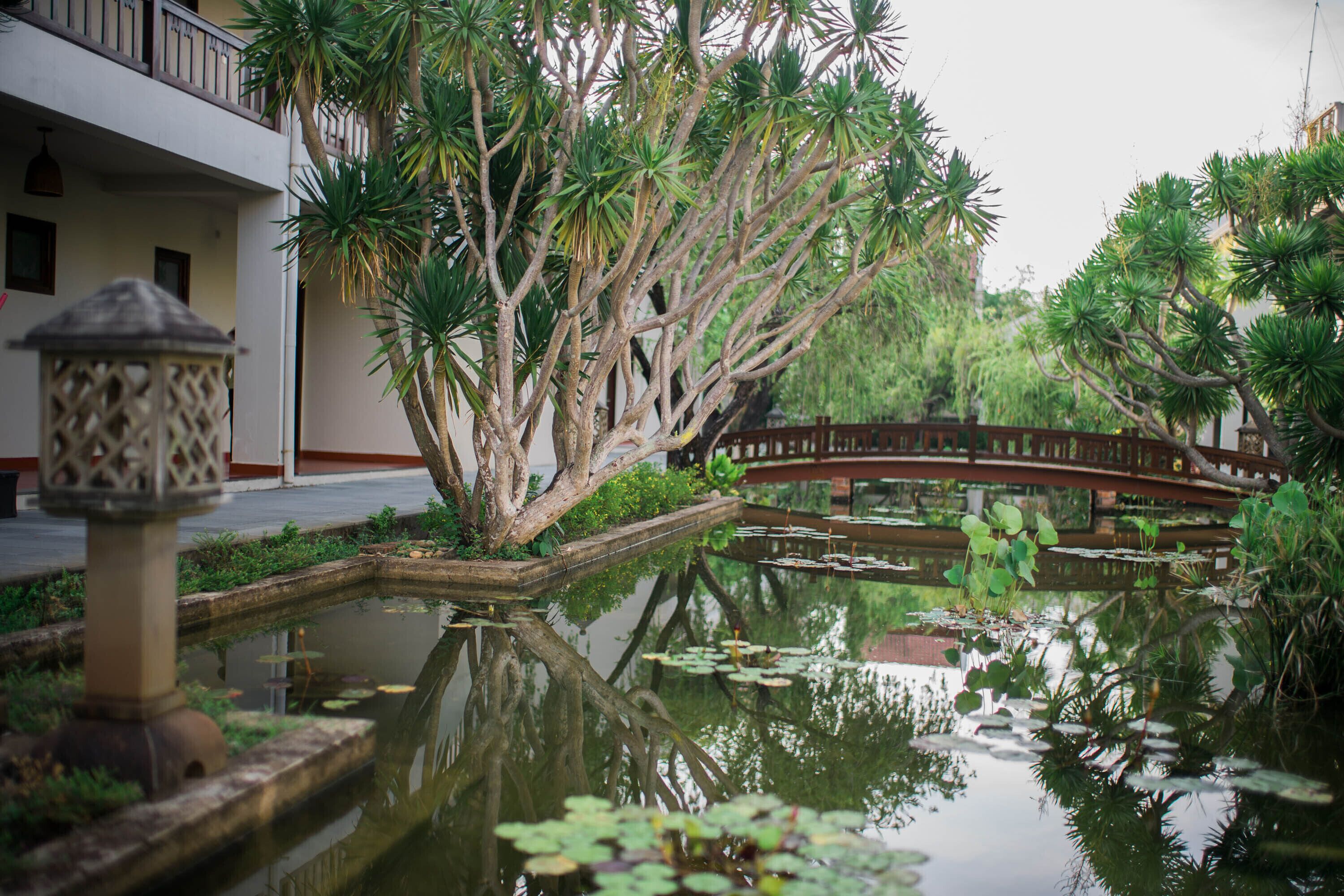 Palm Garden Resort Palm Garden Resort