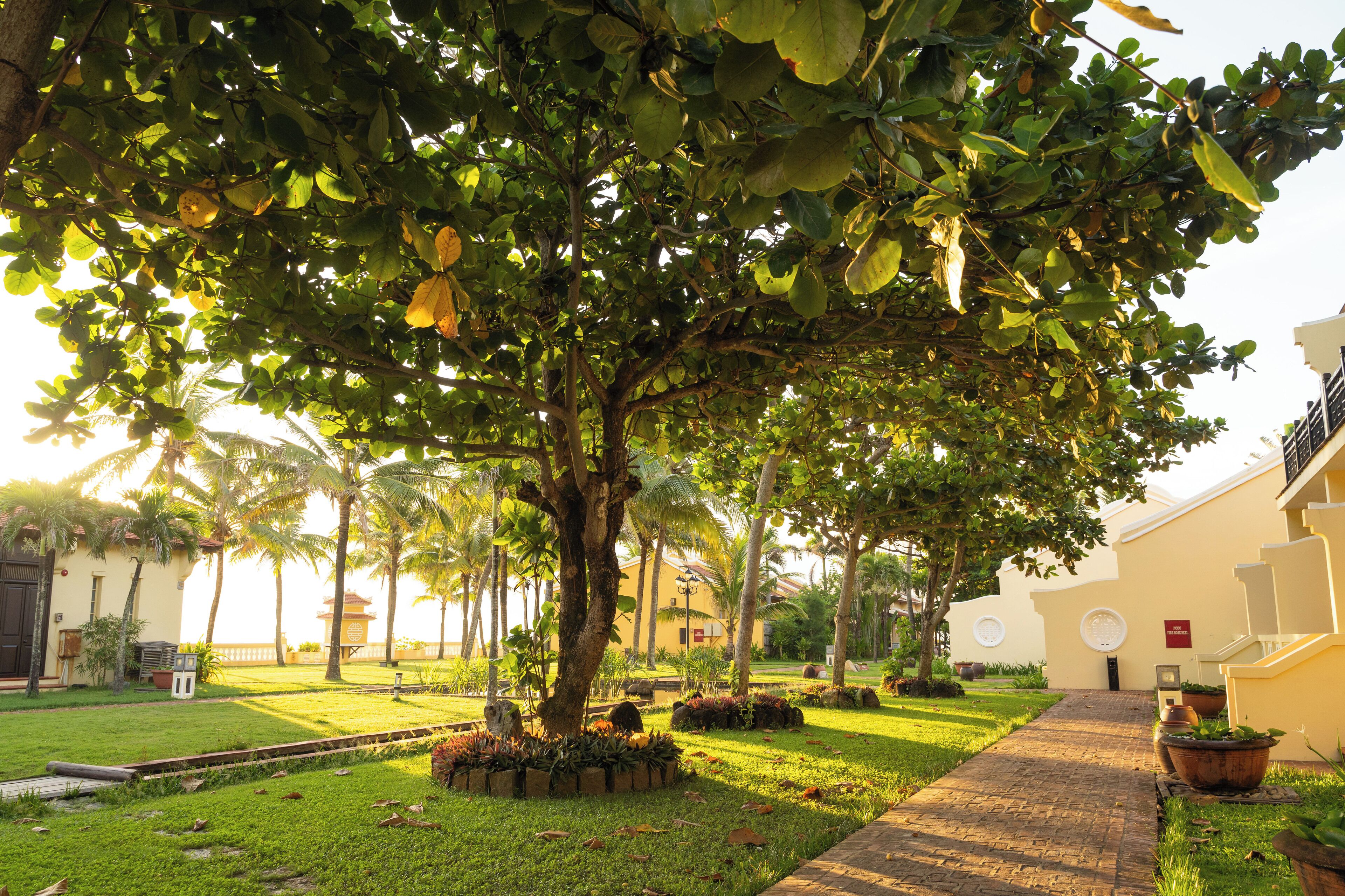 Victoria Hoi An Beach Resort & Spa Victoria Hoi An Beach Resort & Spa