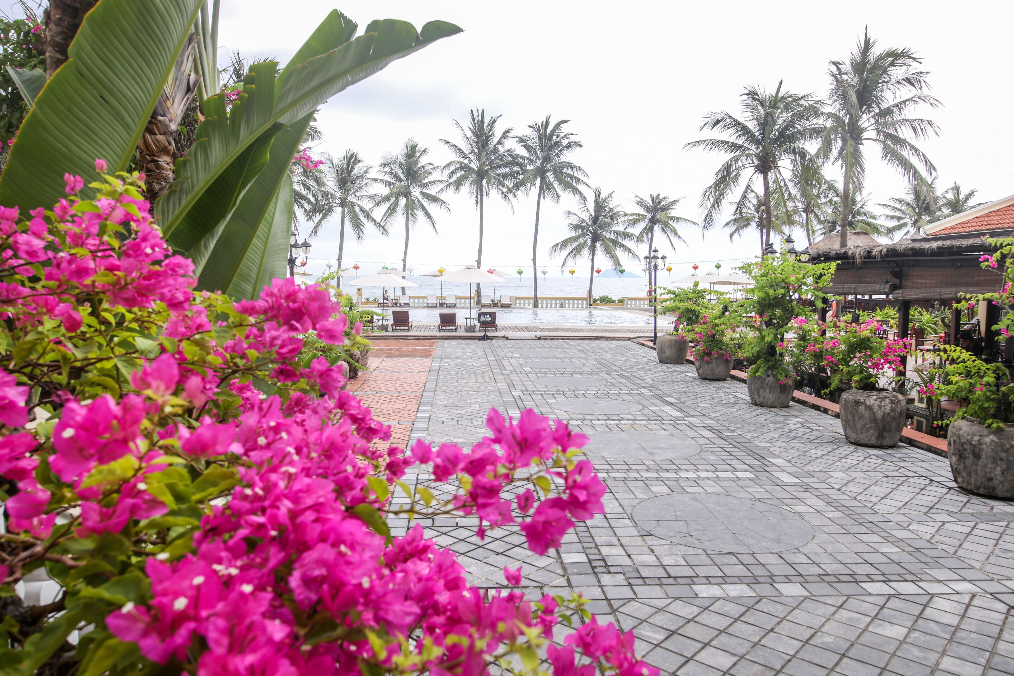 Victoria Hoi An Beach Resort & Spa Victoria Hoi An Beach Resort & Spa