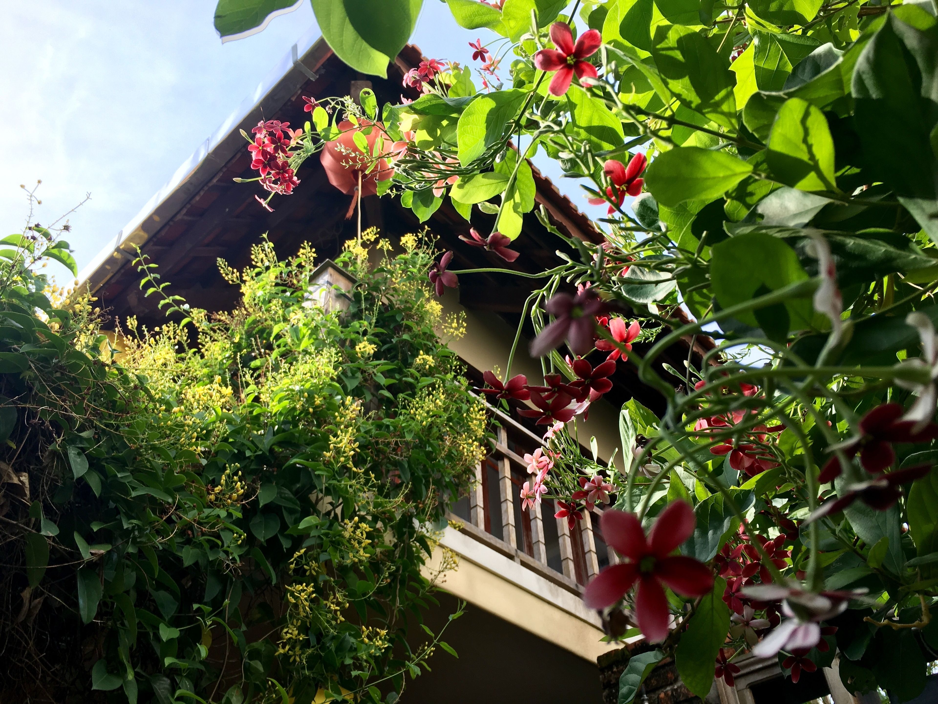 Villa Orchid Garden Riverside Villa Orchid Garden Riverside