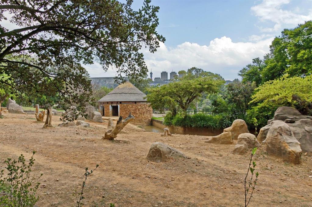 Park Inn by Radisson Sandton Park Inn by Radisson Sandton